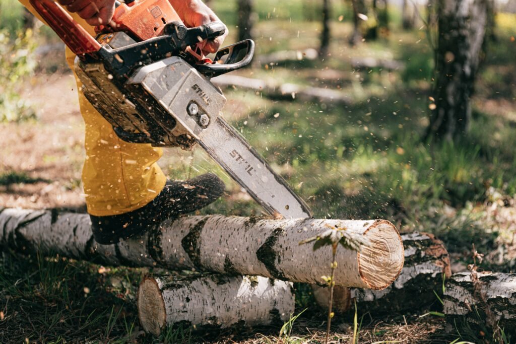 Tree Surgeon